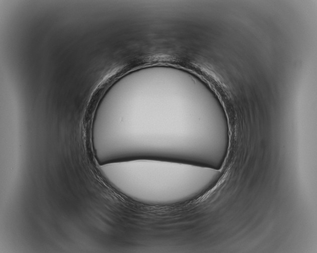 X0000116881309200912220936