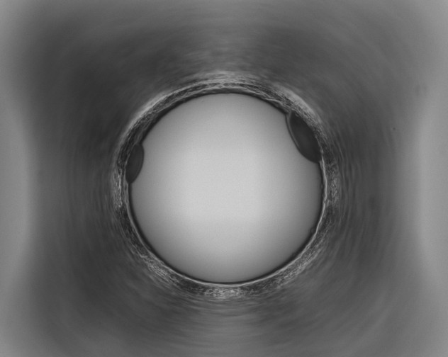 X0000116881310200912220936
