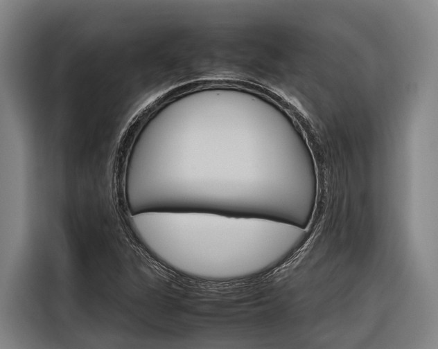 X0000116881311200912220936