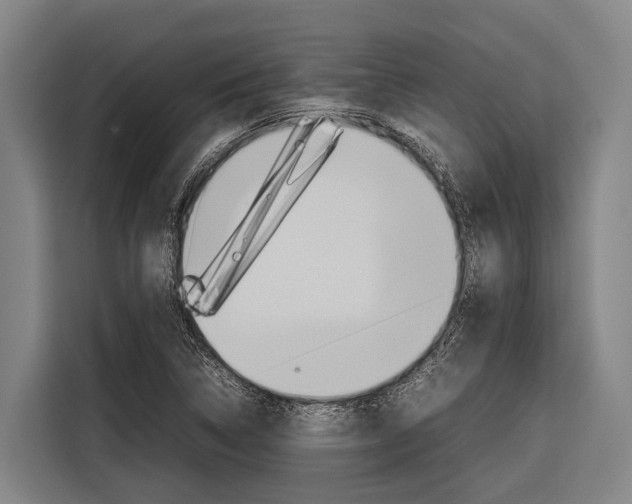 X0000116881314200912220936