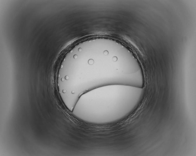 X0000116881315200912220936