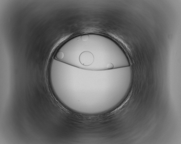 X0000116881317200912220936