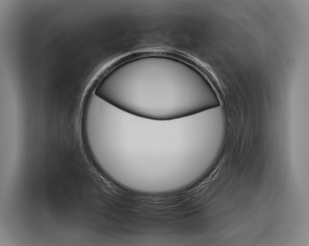 X0000116881319200912220936