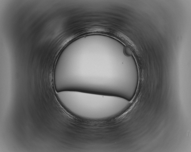 X0000116881321200912220937