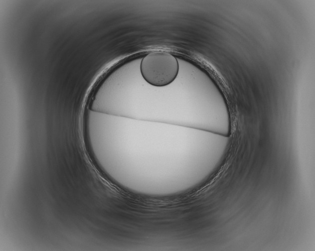 X0000116881323200912220937