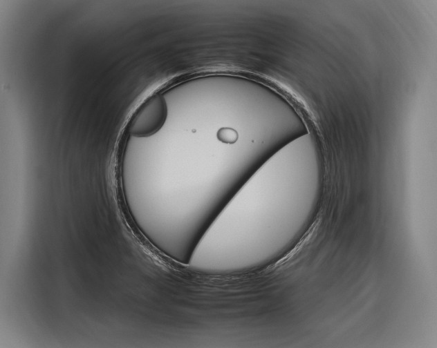 X0000116881325200912220937