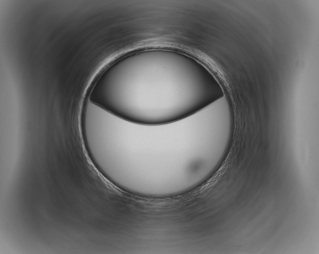 X0000116881334200912220937