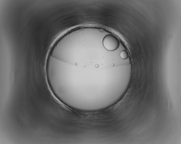 X0000116881335200912220937