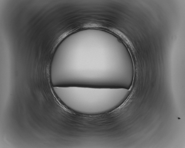 X0000116881337200912220937