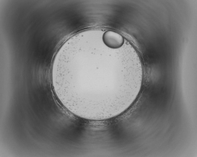 X0000116881338200912220937