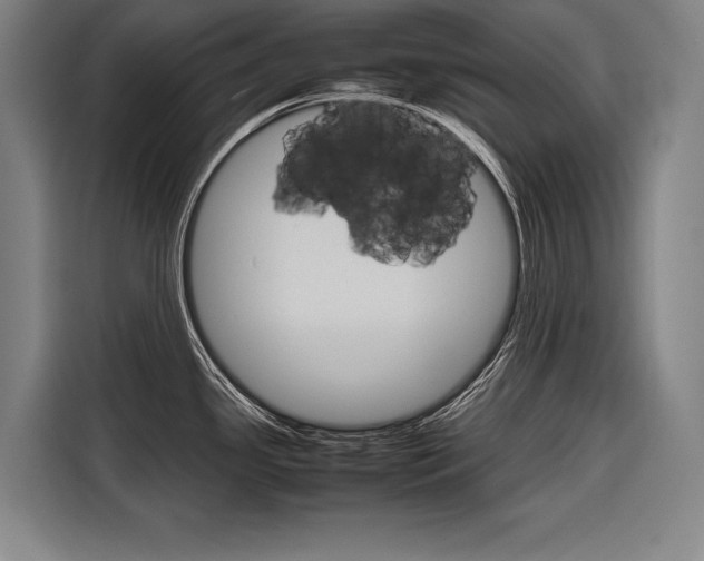 X0000116881341200912220937