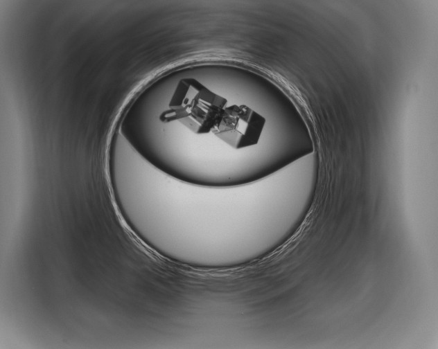 X0000116881342200912220937