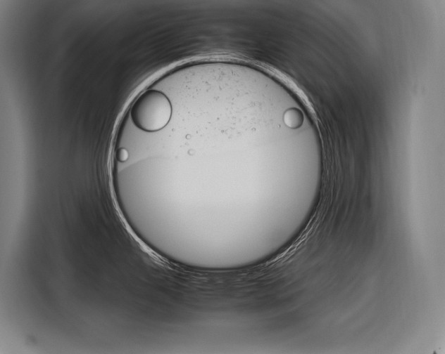 X0000116881343200912220937