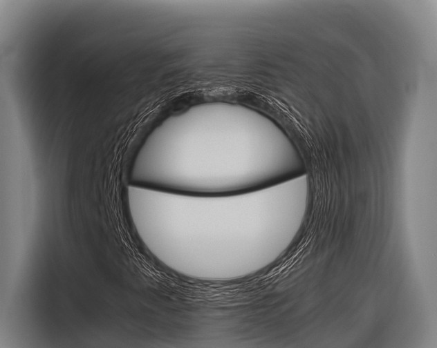 X0000116881345200912220936