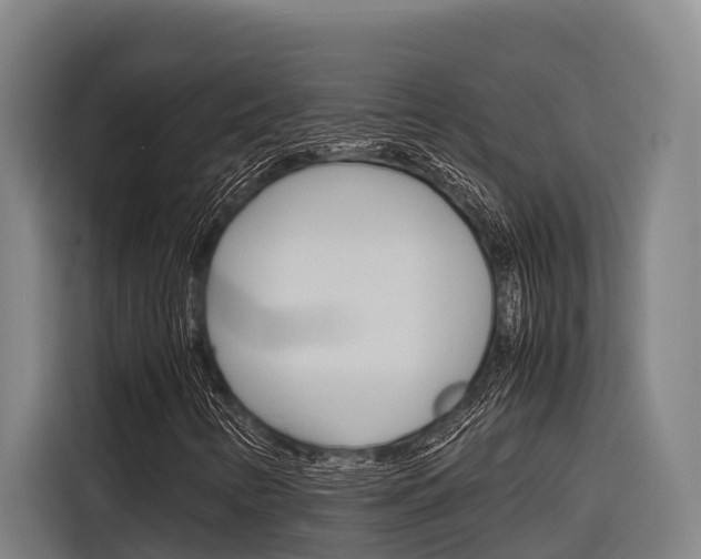 X0000116881346200912220936