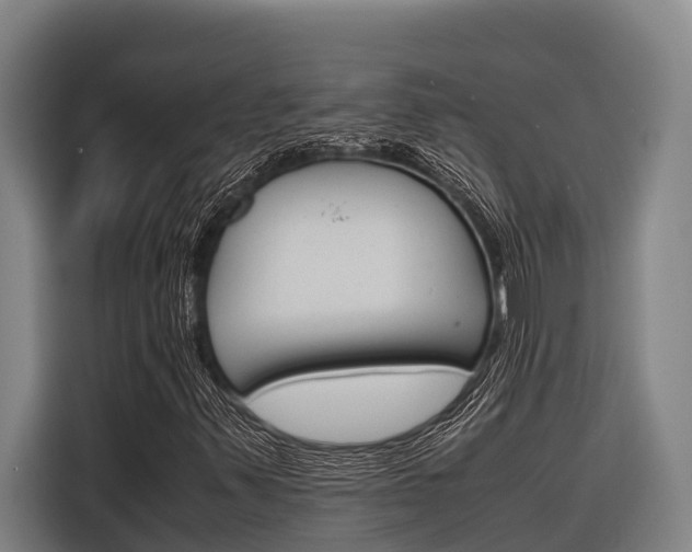 X0000116881347200912220936