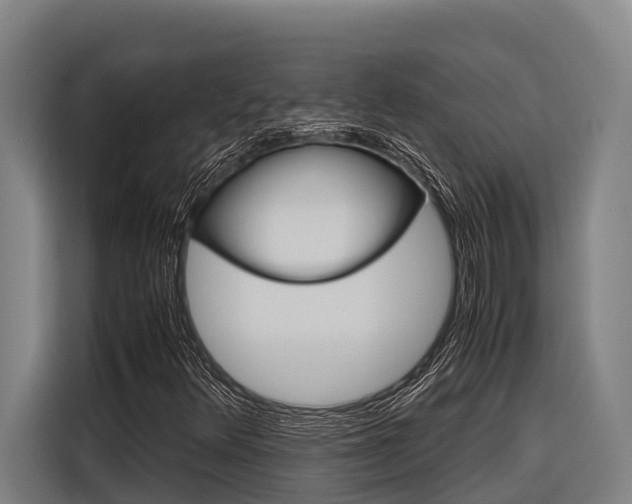 X0000116881348200912220936