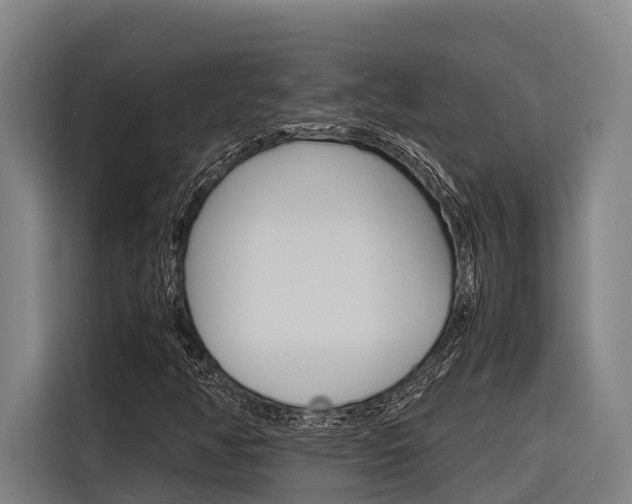 X0000116881350200912220936