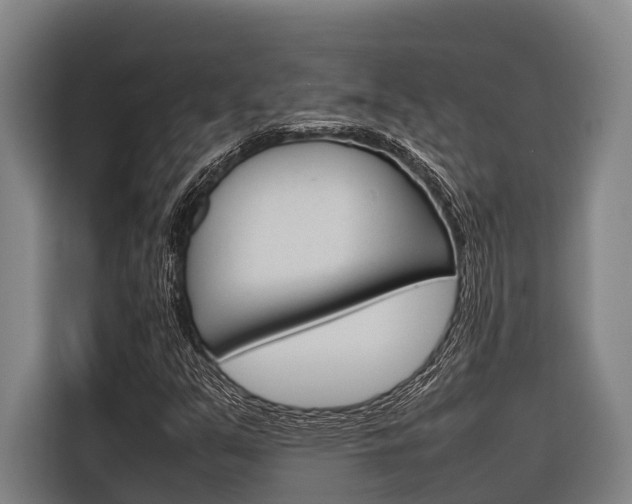 X0000116881351200912220936
