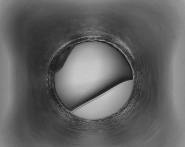 X0000116881352200912220936