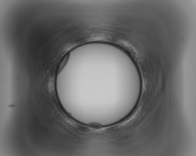 X0000116881353200912220936