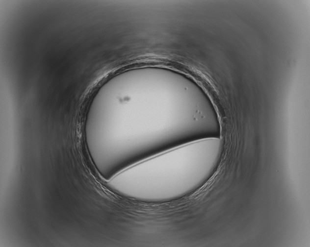 X0000116881355200912220936