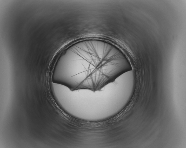 X0000116881356200912220936