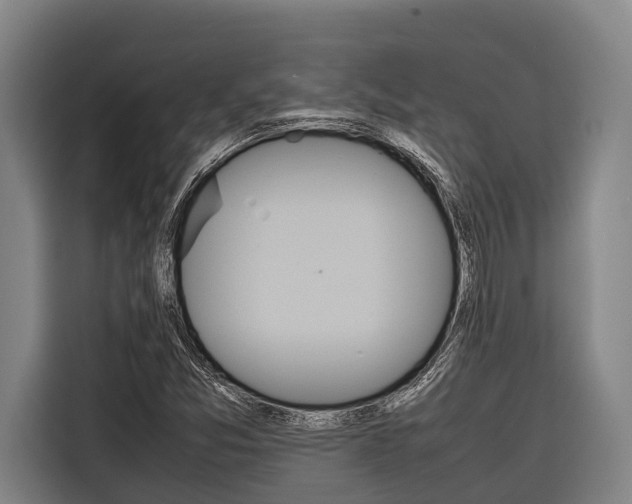 X0000116881357200912220936