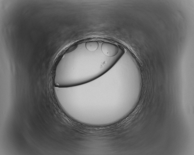 X0000116881359200912220936