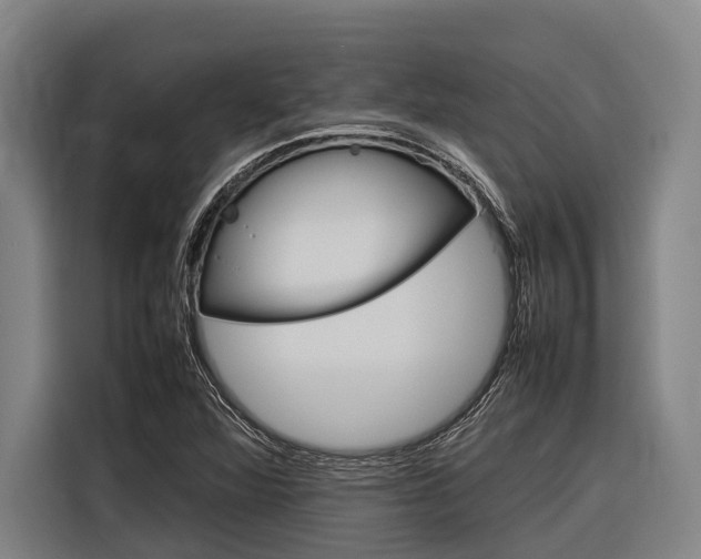 X0000116881360200912220936