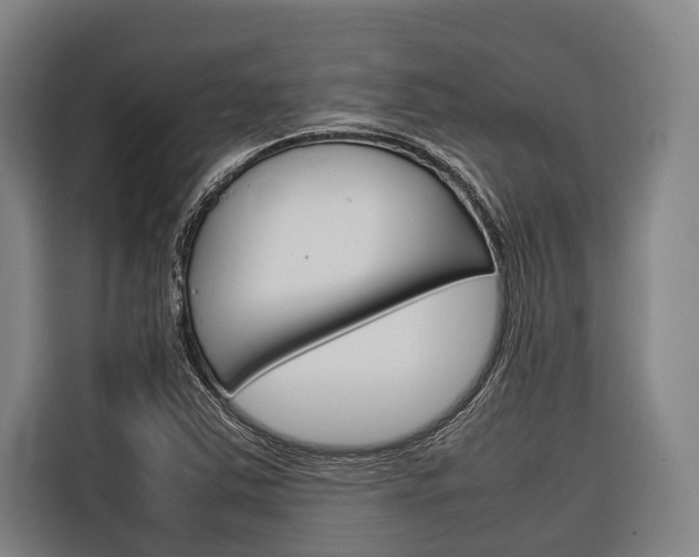 X0000116881363200912220936