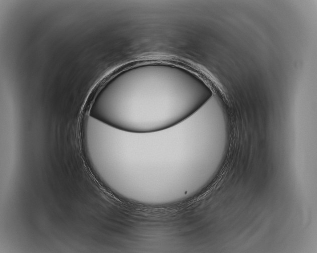 X0000116881364200912220936