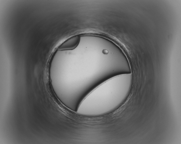 X0000116881367200912220936