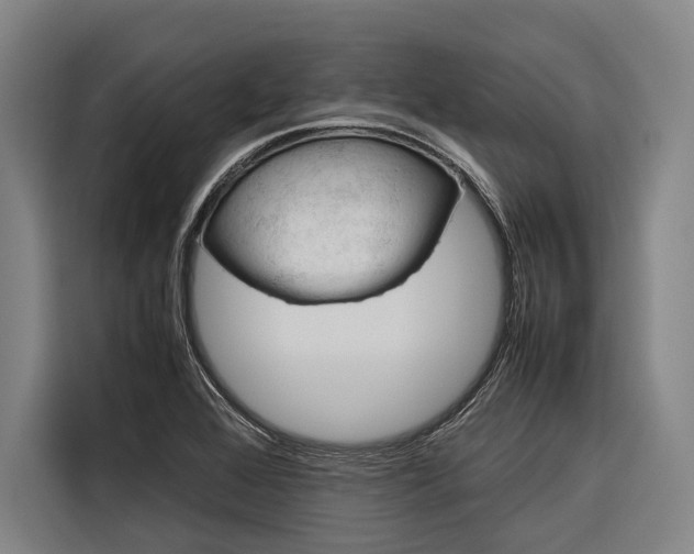 X0000116881368200912220936