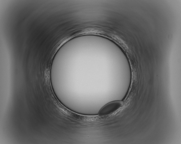 X0000116881369200912220936