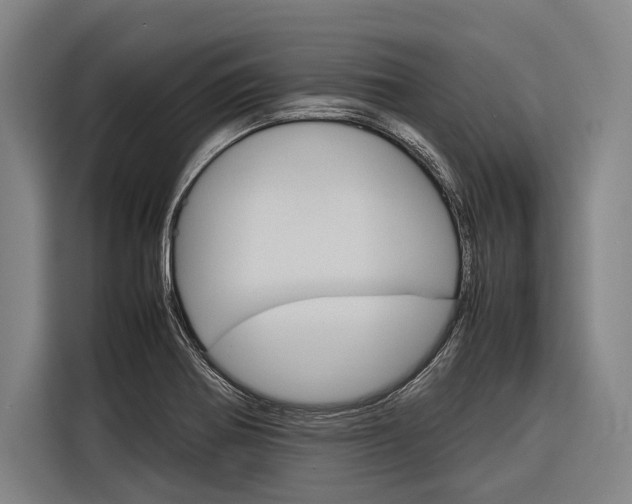 X0000116881370200912220936