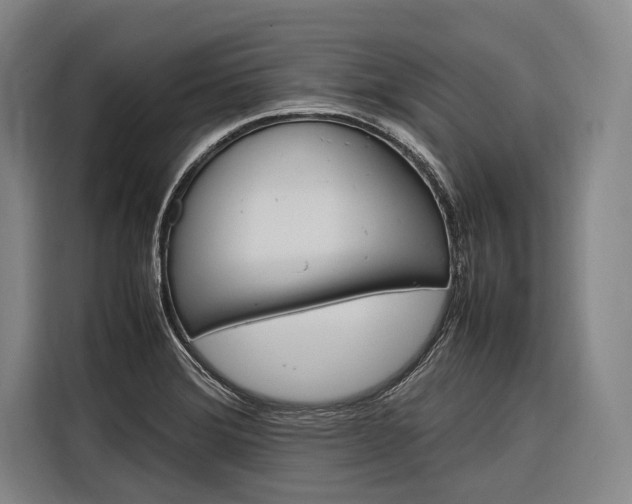 X0000116881372200912220936