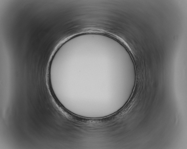 X0000116881379200912220936