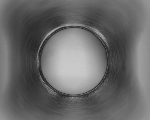 X0000116881380200912220936