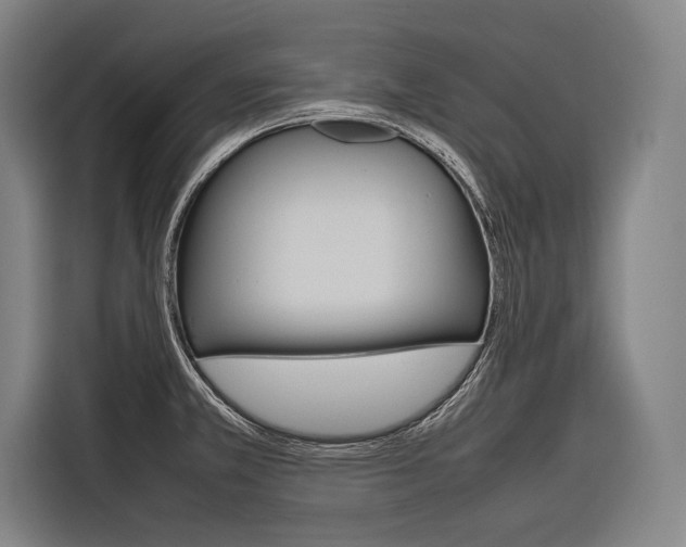 X0000116881381200912220936
