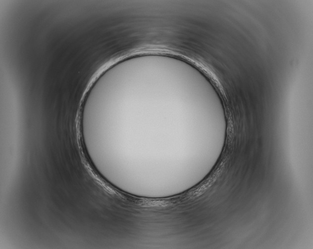X0000116881382200912220936