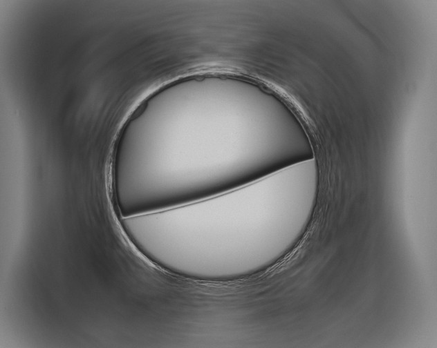 X0000116881383200912220936