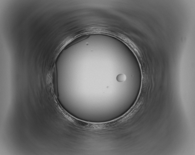 X0000116881385200912220936