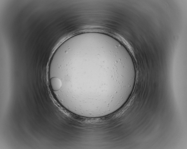 X0000116881386200912220936