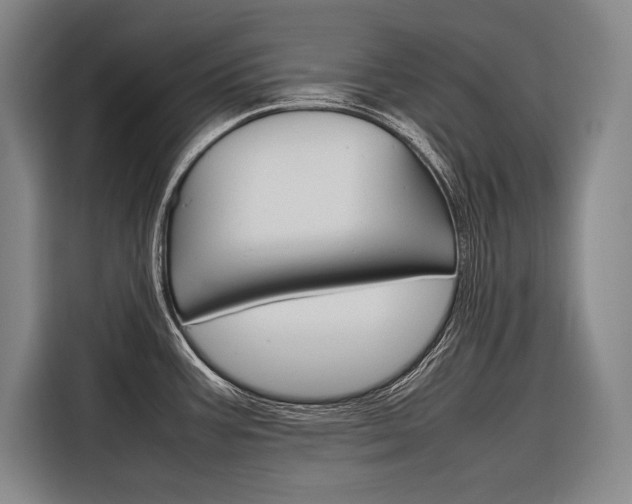 X0000116881387200912220936