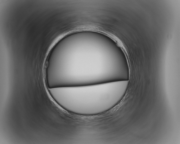 X0000116881389200912220936