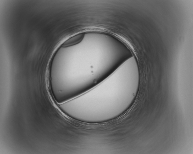 X0000116881391200912220936