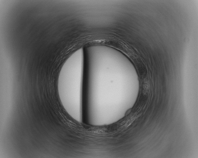 X0000116881394200912220935