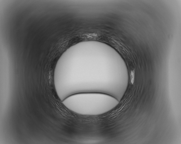 X0000116881395200912220935