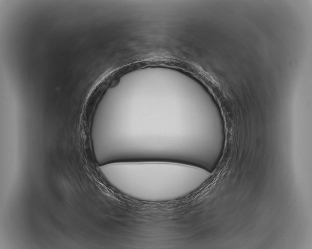 X0000116881400200912220935